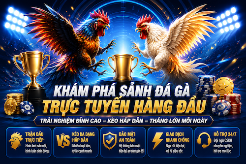 Sảnh đá gà trực tuyến GEM88 với livestream rõ nét, lịch trận cập nhật và bảng cược dễ theo dõi